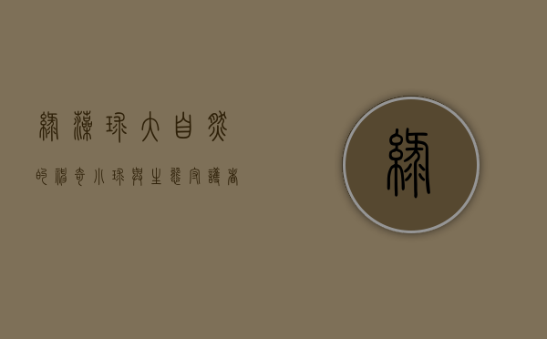 绿藻球，大自然的神奇小球与生态守护者