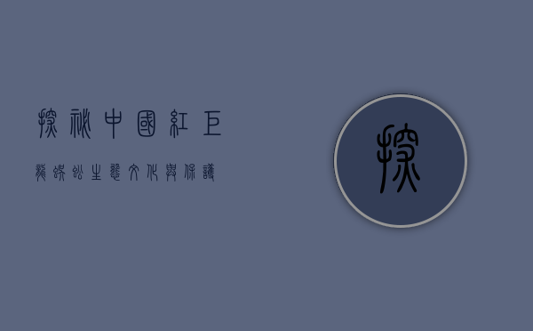 探秘中国红巨龙蜈蚣，生态、文化与保护