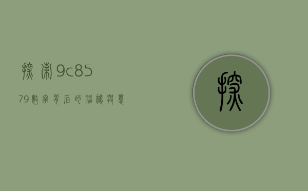 探索9c8579，数字背后的神秘与意义