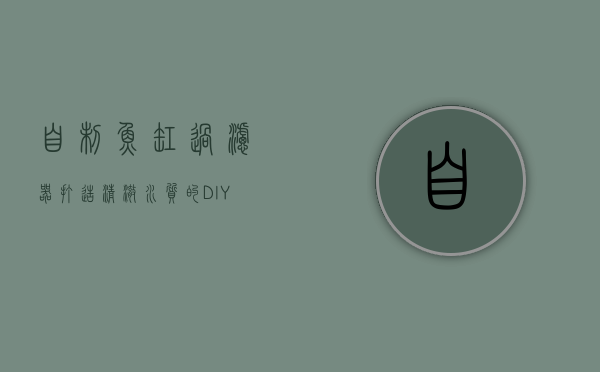 自制鱼缸过滤器,打造清澈水质的DIY指南 自制鱼缸过滤器,打造清澈水质的DIY指南