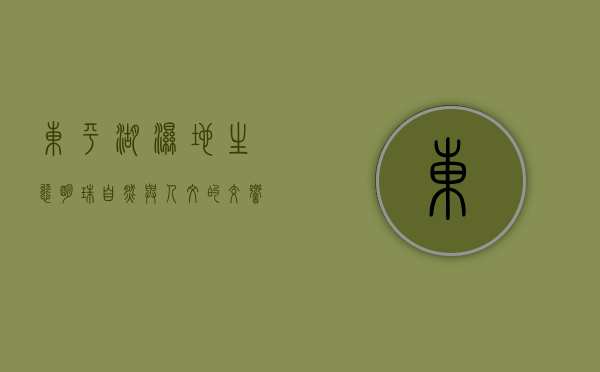 东平湖湿地，生态明珠，自然与人文的交响曲