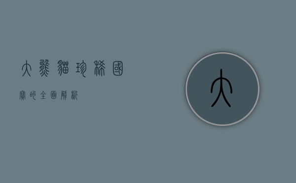 大熊猫，珍稀国宝的全面解析