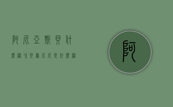 阿尼亚斯贝什么档次（贝尔尼尼是什么档次）