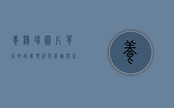 养鸡场图片背后的故事，现代化养殖与生态平衡的探索