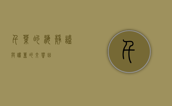 千叶的海，静谧与喧嚣的交响曲
