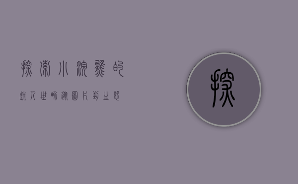 探索小浣熊的迷人世界，从图片到生态