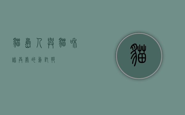 猫岛，人与猫和谐共处的乌托邦