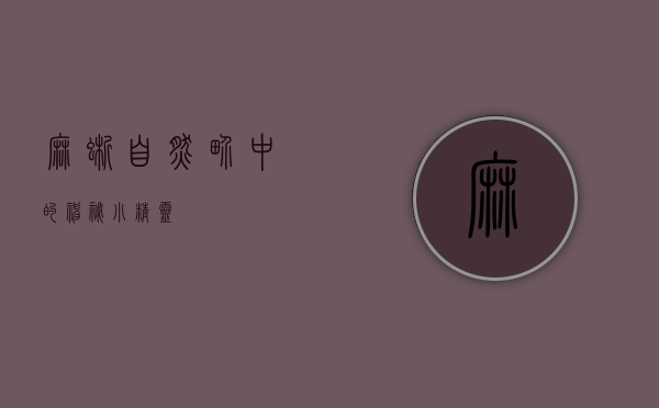 麻蜥，自然界中的神秘小精灵
