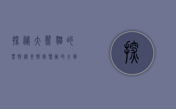 探秘大熊猫的习性，从食性到繁殖的全面解析
