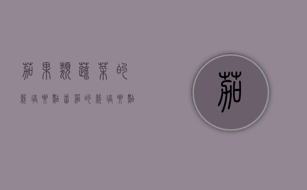 茄果类蔬菜的栽培要点（番茄的栽培要点）（茄果类蔬菜栽培技术）