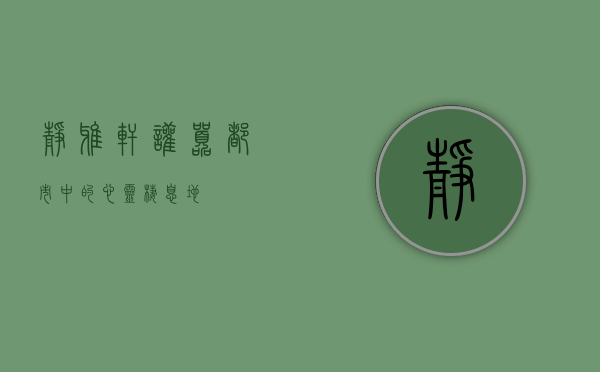 静雅轩，喧嚣都市中的心灵栖息地