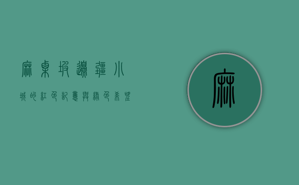 麻栗坡，边疆小城的红色记忆与绿色希望