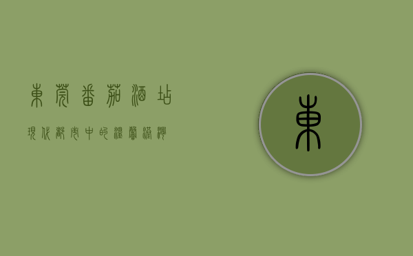 东莞番茄酒店，现代都市中的温馨港湾
