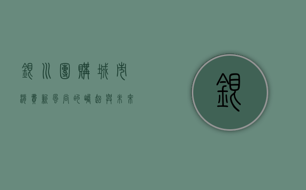 银川团购，城市消费新风尚的崛起与未来展望