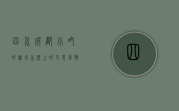 四川成都小吃的魅力，舌尖上的巴蜀风情