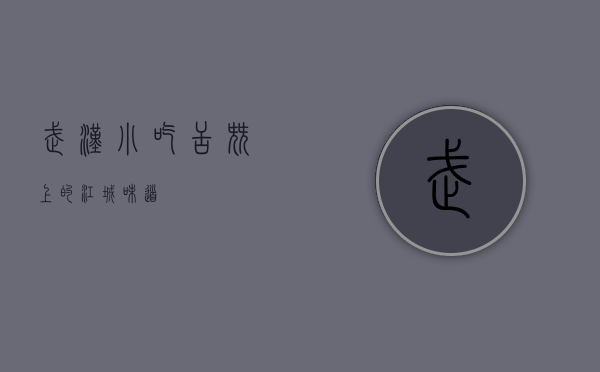 武汉小吃，舌尖上的江城味道