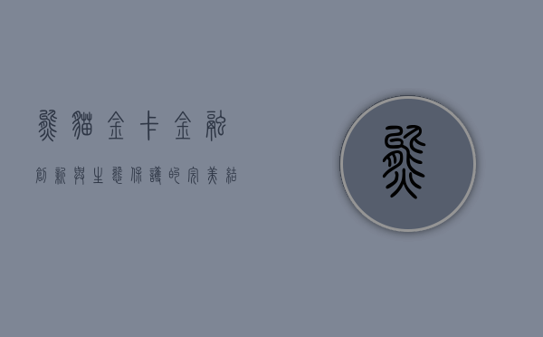 熊猫金卡，金融创新与生态保护的完美结合