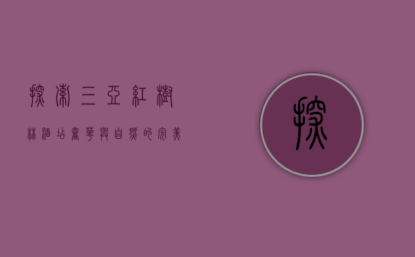 探索三亚红树林酒店，奢华与自然的完美融合