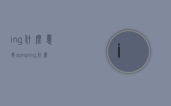 ing什么意思（dumpling什么意思）