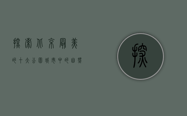 探索北京最美的十大公园，城市中的自然绿洲