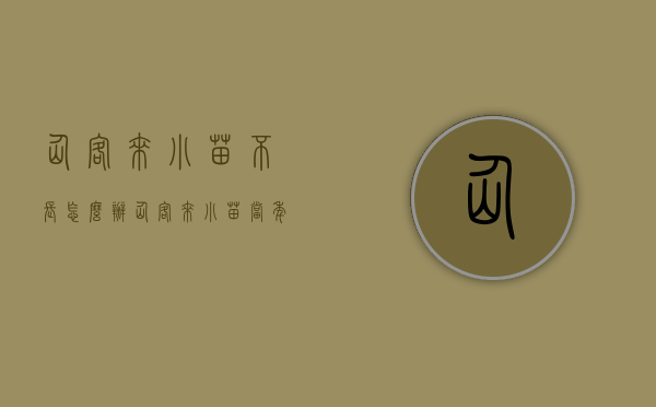 仙客来小苗不长怎么办（仙客来小苗当年能开花吗）