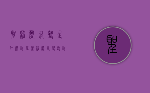 圣罗兰气垫是什么粉底（圣罗兰气垫跟粉底液有什么区别）