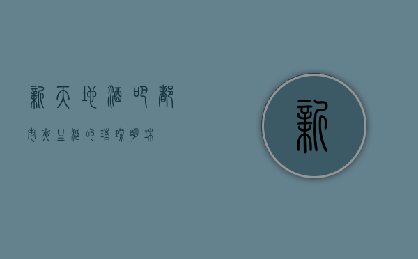 新天地酒吧，都市夜生活的璀璨明珠