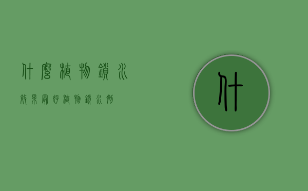 什么植物锁水效果最好（植物锁水剂）