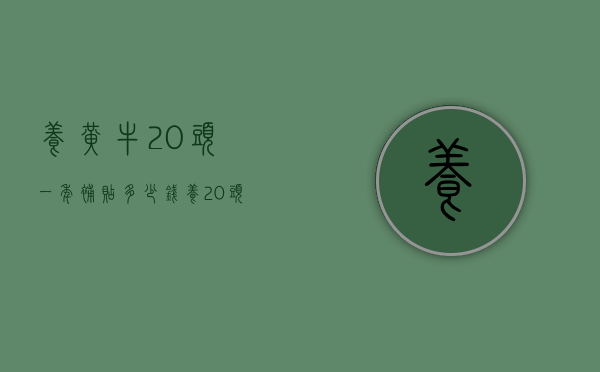 养黄牛20头一年补贴多少钱（养20头黄牛需要多少钱）