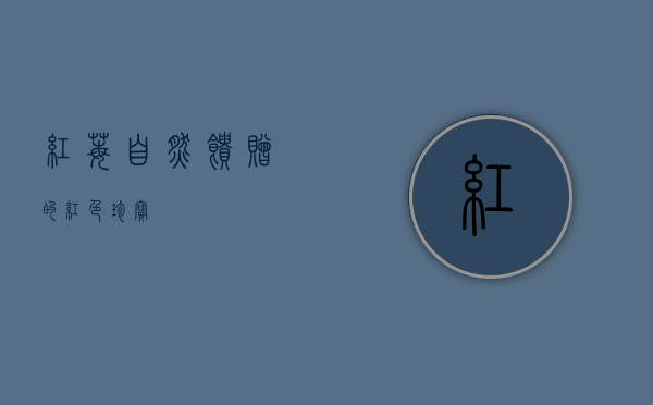 红莓，自然馈赠的红色珍宝