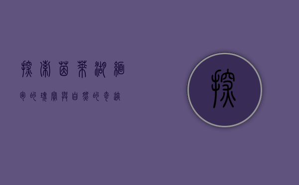 探索茵莱湖，缅甸的瑰宝与自然的奇迹