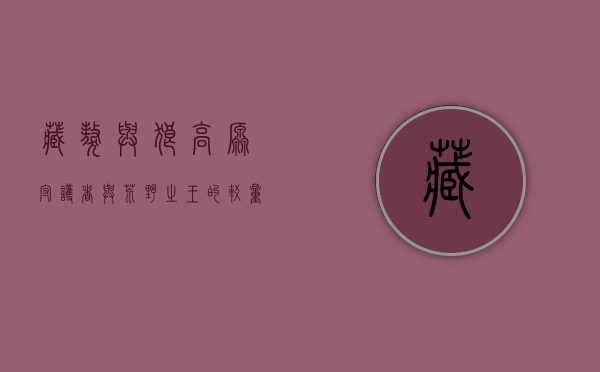 藏獒与狼，高原守护者与荒野之王的较量