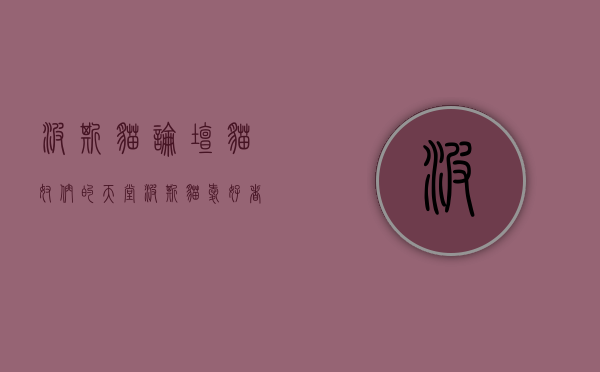 波斯猫论坛，猫奴们的天堂，波斯猫爱好者的聚集地