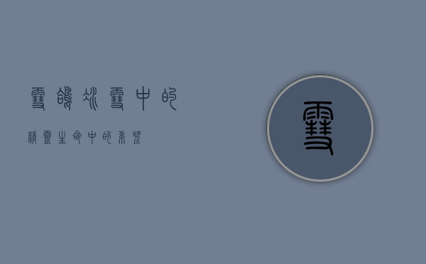 雪鸽，冰雪中的精灵，生命中的希望