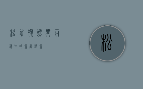 松鼠猴，热带雨林中的灵动精灵