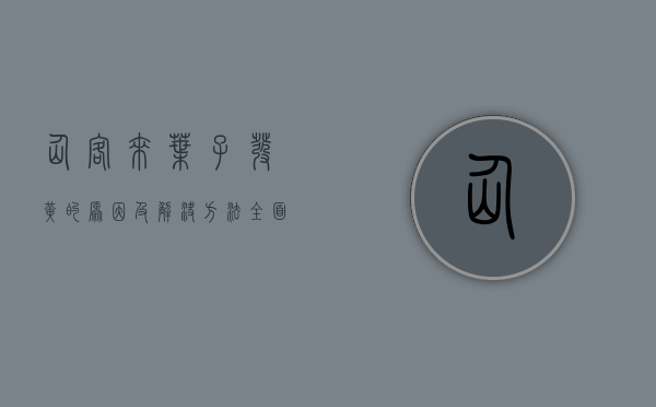仙客来叶子发黄的原因及解决方法，全面解析与养护指南