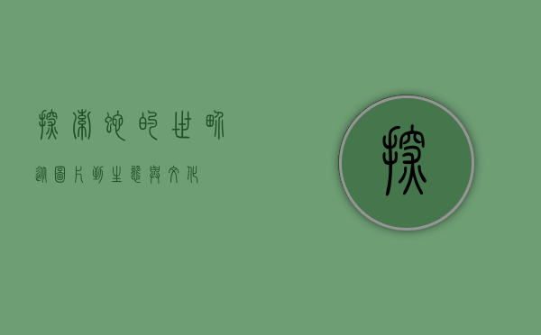 探索蛇的世界，从图片到生态与文化