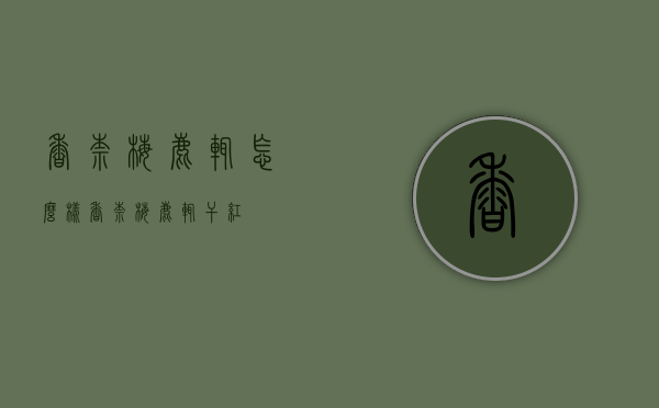 香奈梅鹿辄怎么样（香奈梅鹿辄干红）