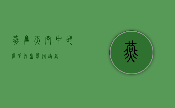燕隼，天空中的猎手与生态守护者