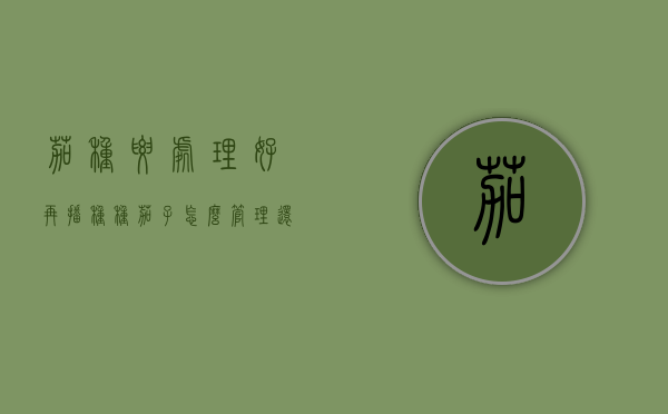 茄种要处理好再播种（种茄子怎么管理还需要修剪吗冬天）