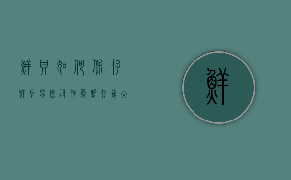 鲜贝如何保存（鲜贝怎么保存能保存几天）