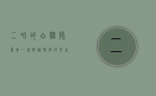 二哈的白猫师尊车，一场跨越时空的奇幻之旅