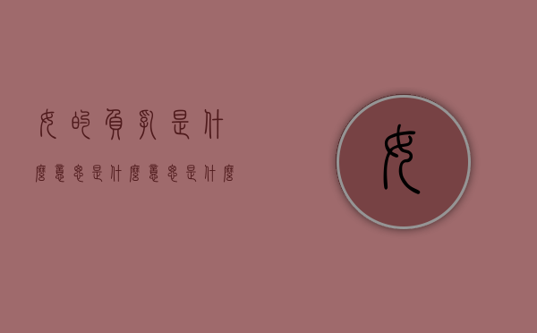 女的负乳是什么意思是什么意思是什么（人乳负重的意思）