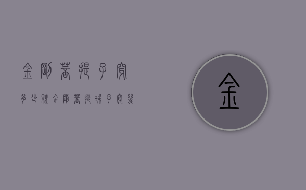 金刚菩提子穿多少颗（金刚菩提珠子穿几个）