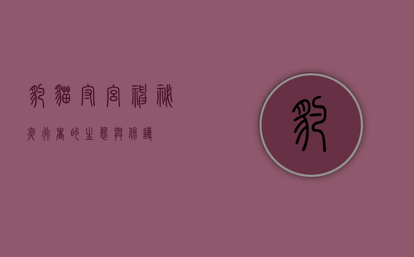 豹猫守宫，神秘夜行者的生态与保护