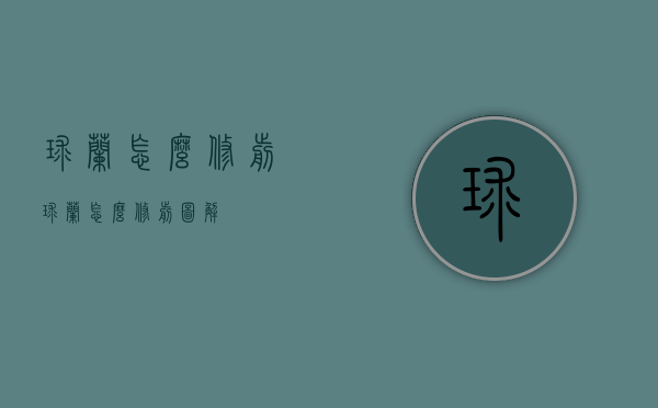 球兰怎么修剪（球兰怎么修剪图解）