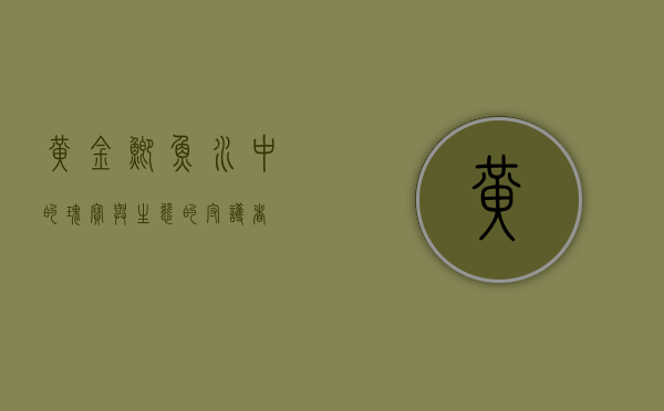 黄金鲫鱼，水中的瑰宝与生态的守护者