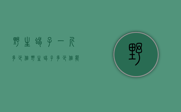 野生蝎子一斤多少个（野生蝎子多少个能达到一斤）