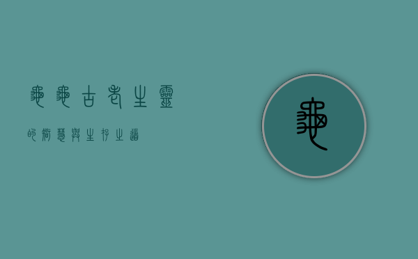 龟龟，古老生灵的智慧与生存之道