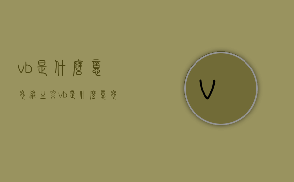 vb是什么意思（维生素vb是什么意思）